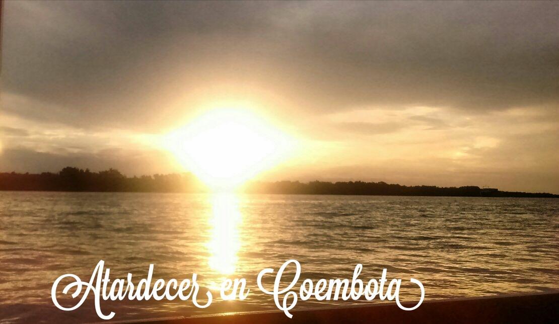 Coembota Cabanas Tigre Bilik gambar